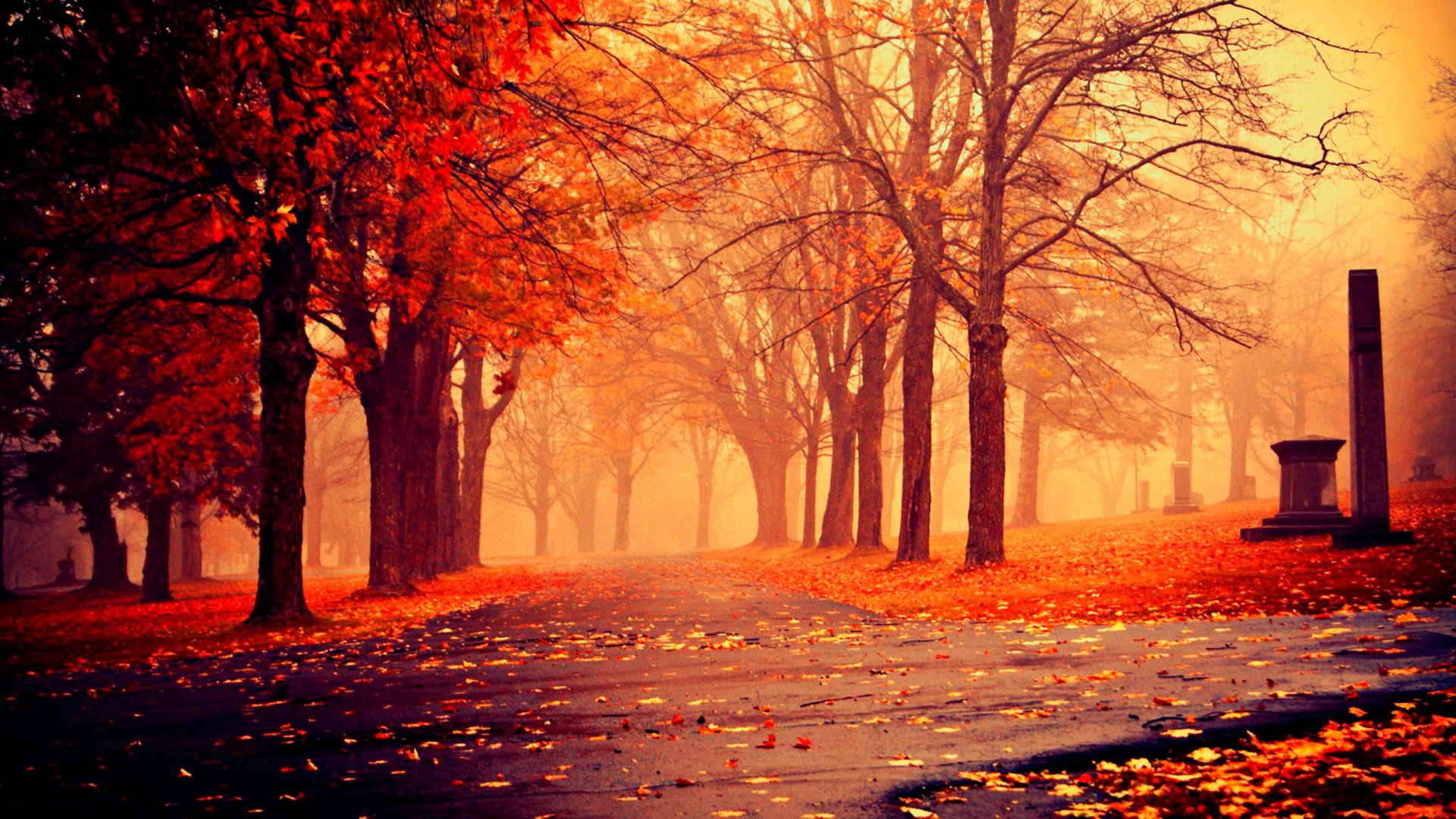 Fall Nature Pictures Wallpapers