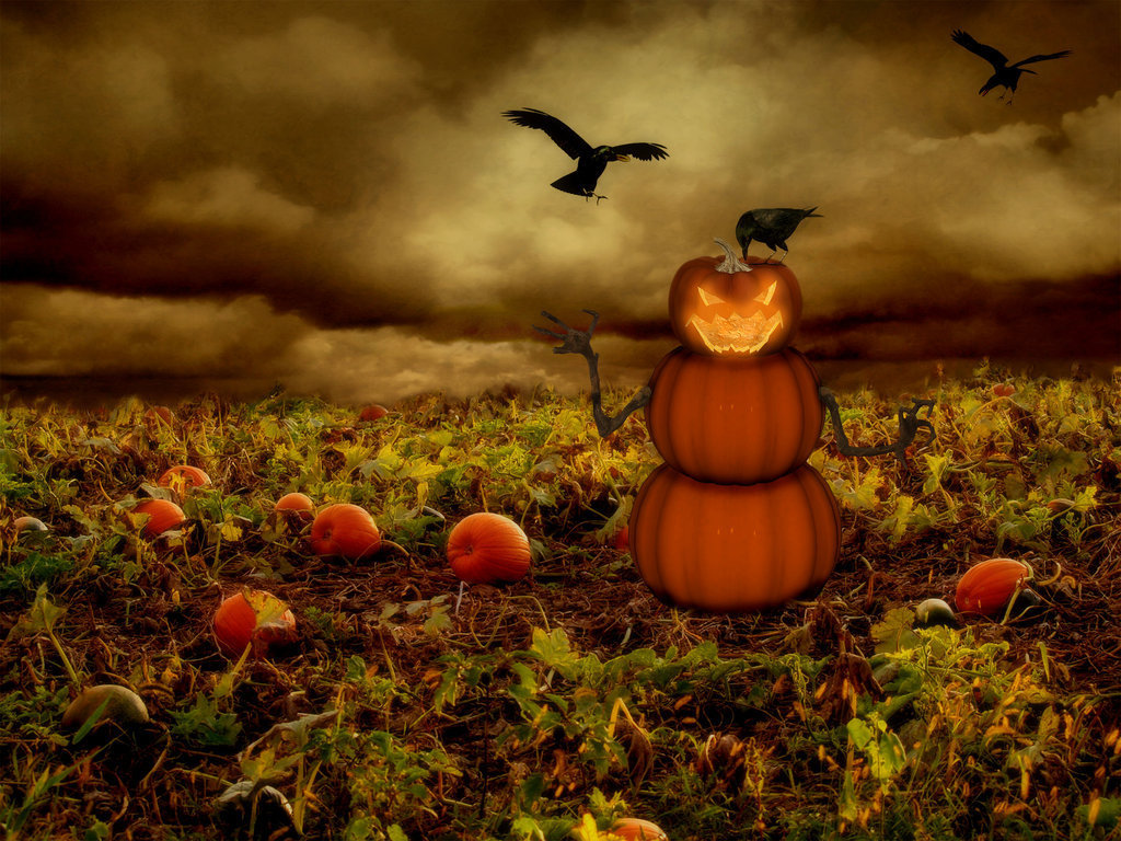 Fall Scenes With Pumpkins Wallpapers
