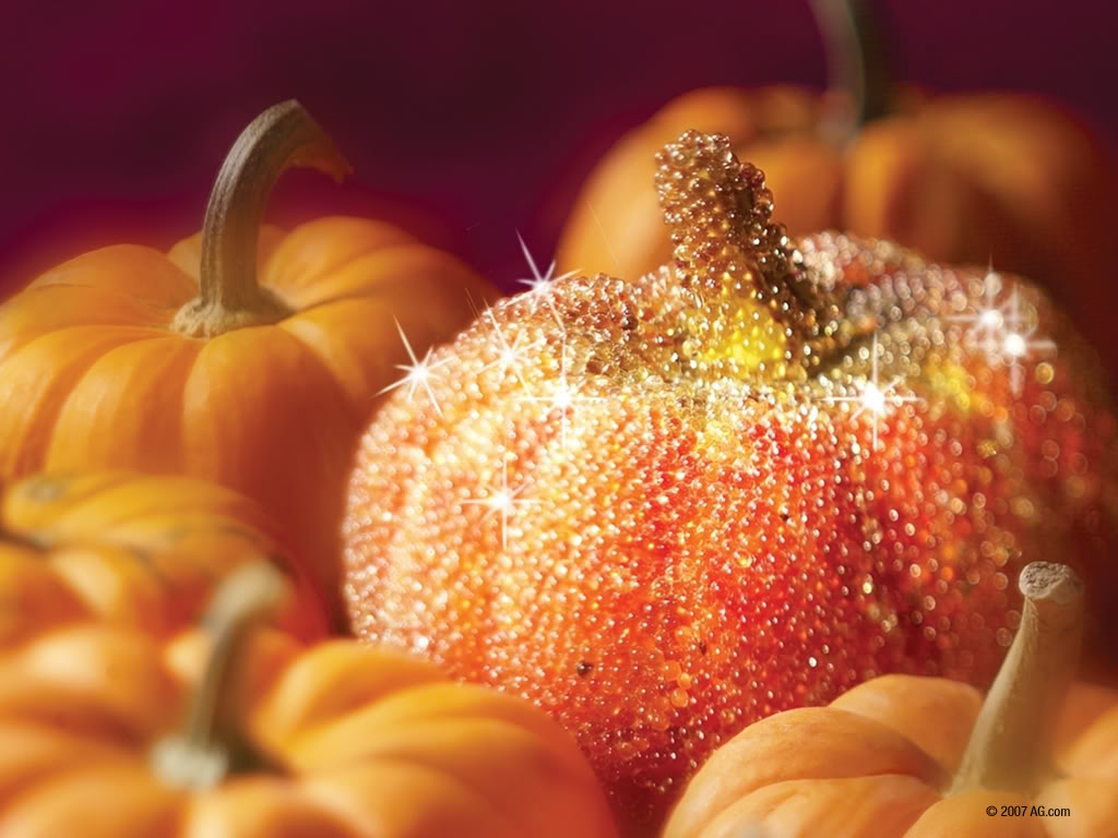 Fall Scenes With Pumpkins Wallpapers