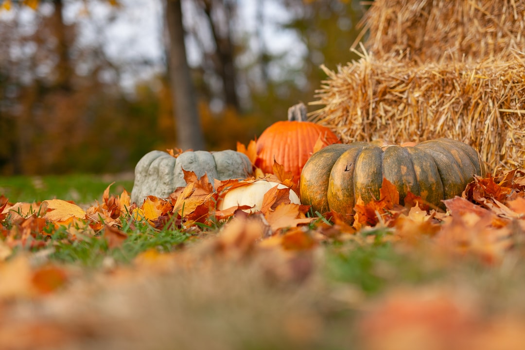 Fall Thanksgiving Wallpapers