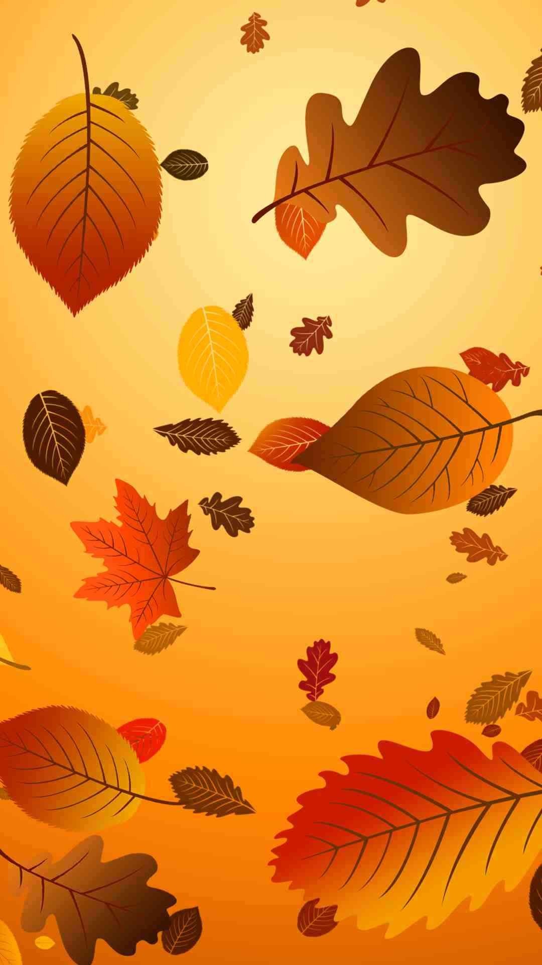 Fall Thanksgiving Wallpapers