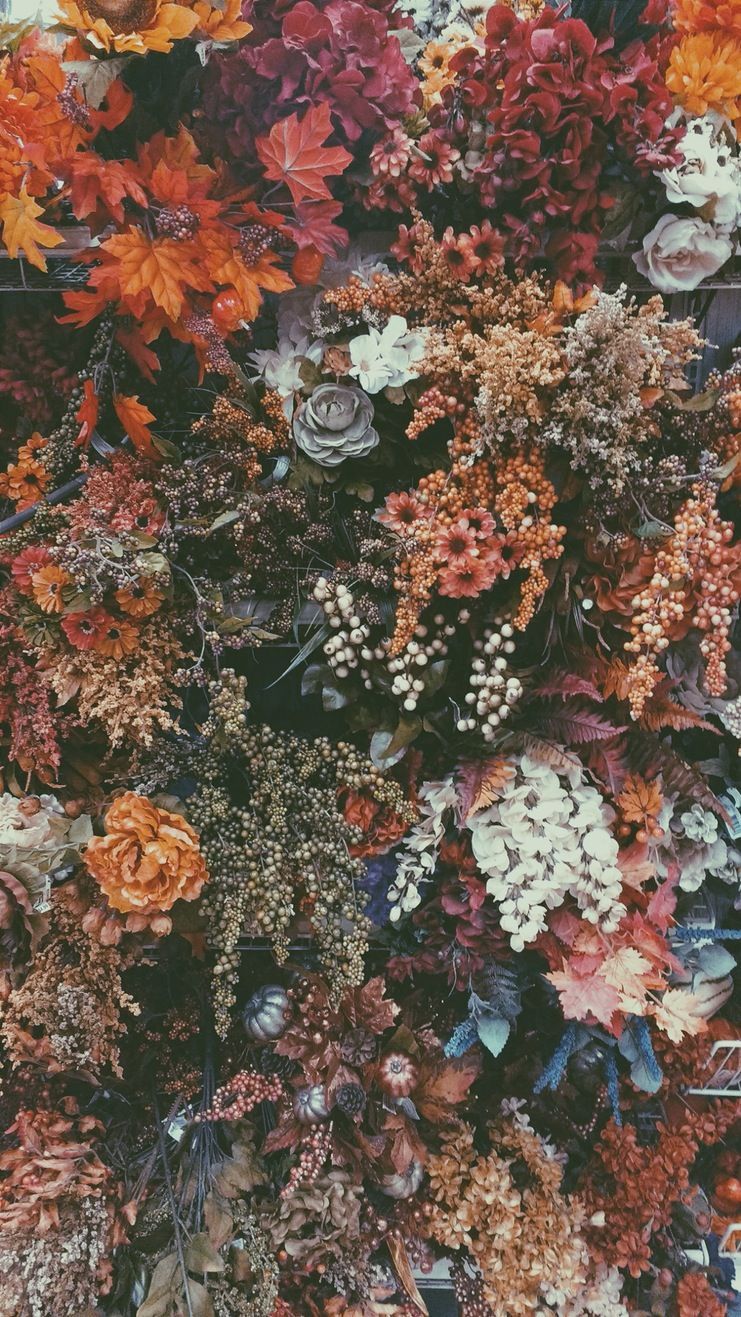 Fall Vsco Wallpapers