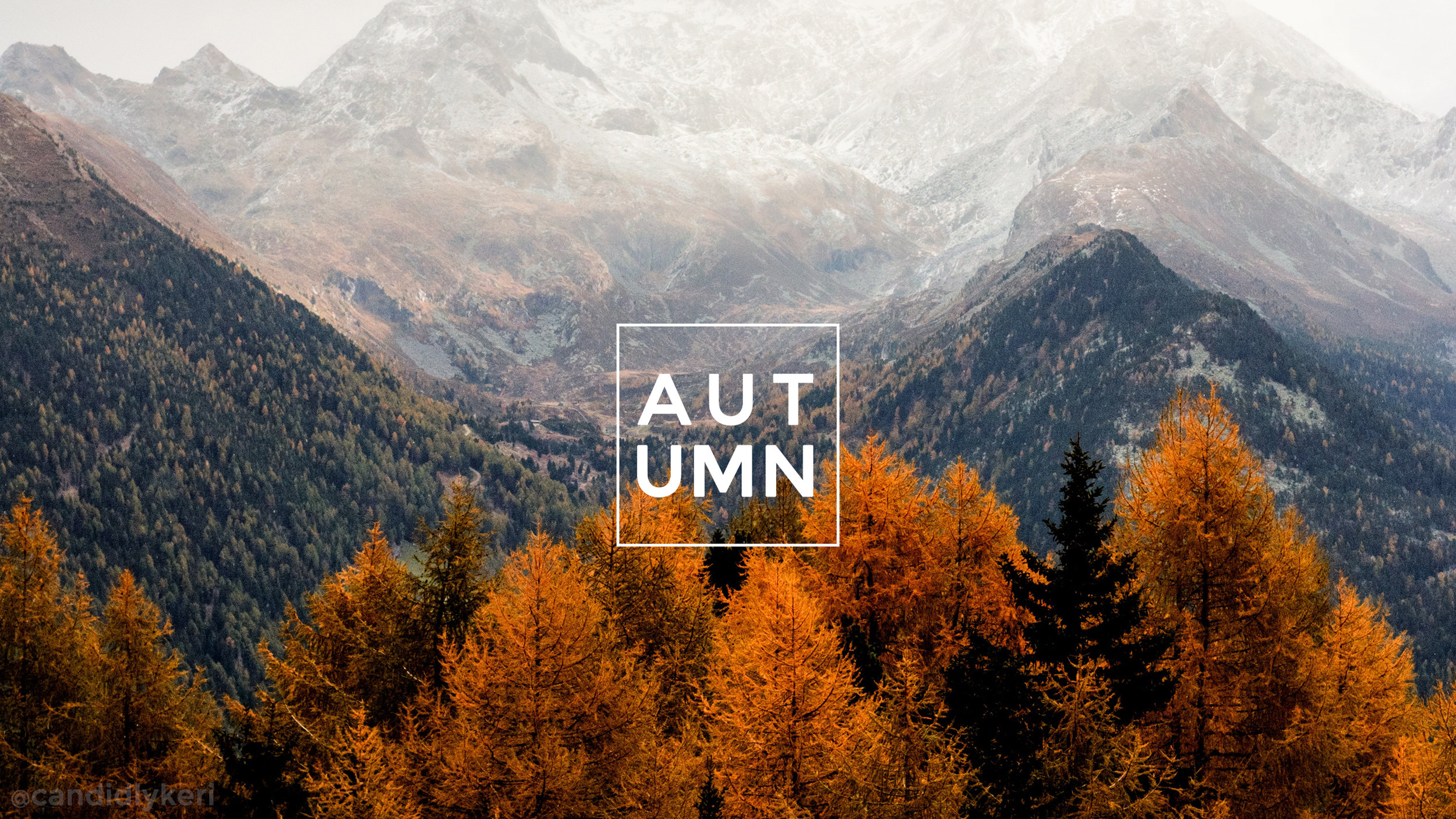 Fall For Mac Wallpapers