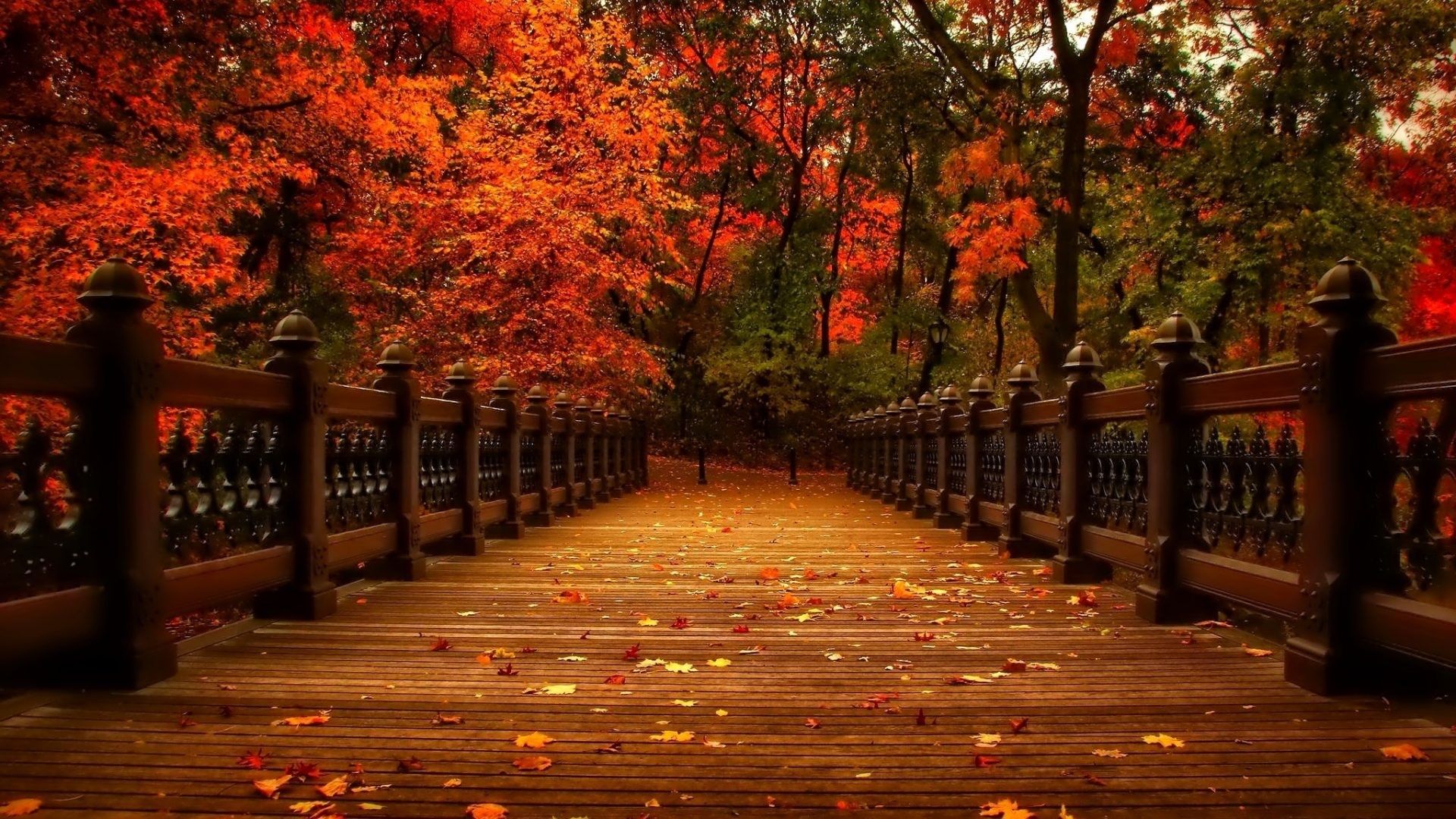 Fall For Laptop Wallpapers