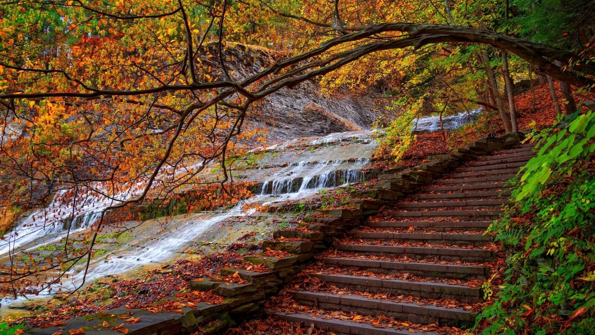 Fall For Laptop Wallpapers