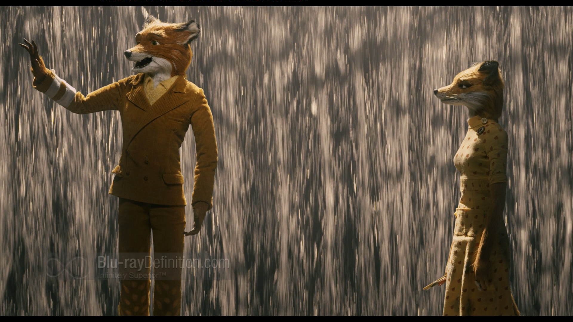 Fantastic Mr Fox Wallpapers