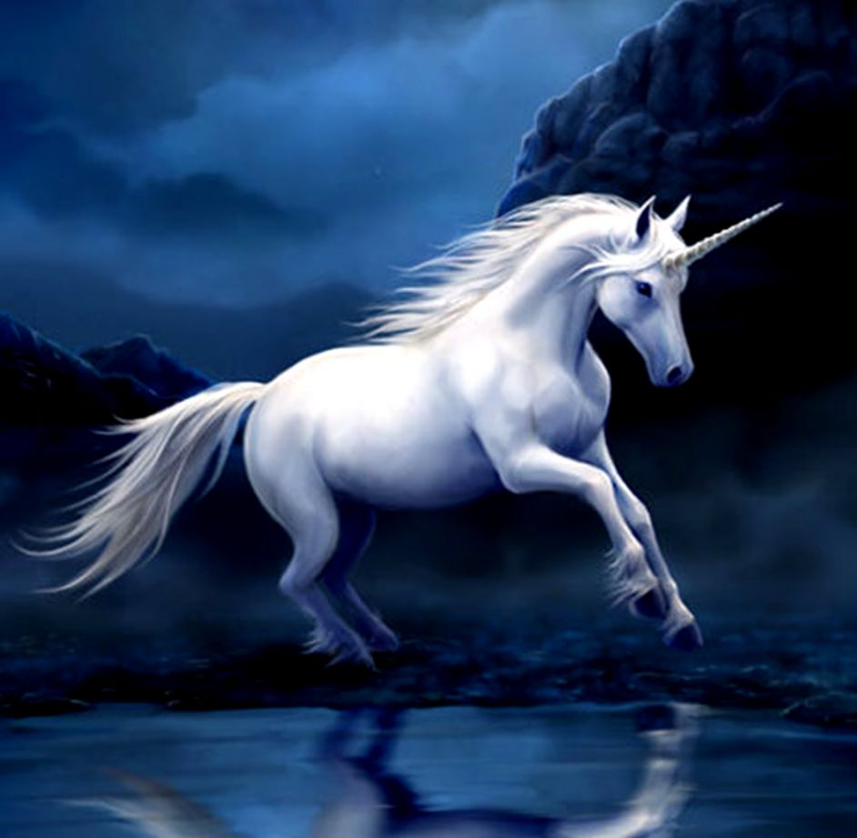 Fantasy Unicorn Wallpapers