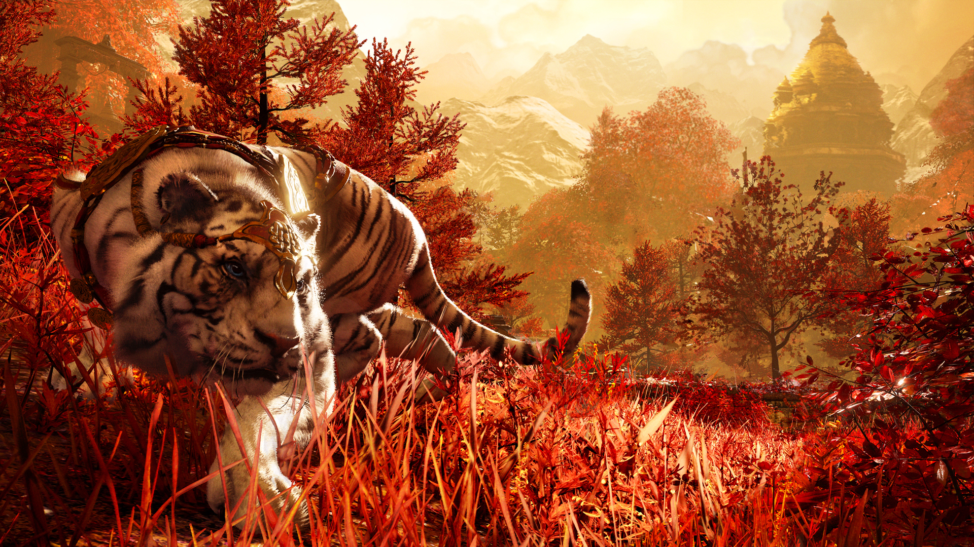 Far Cry 4 Images Wallpapers