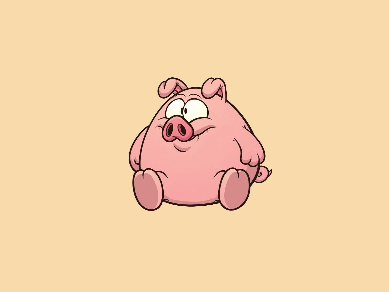 Fat Wallpapers