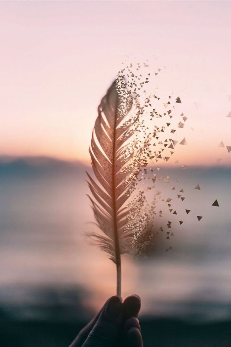 Feather Tumblr Wallpapers