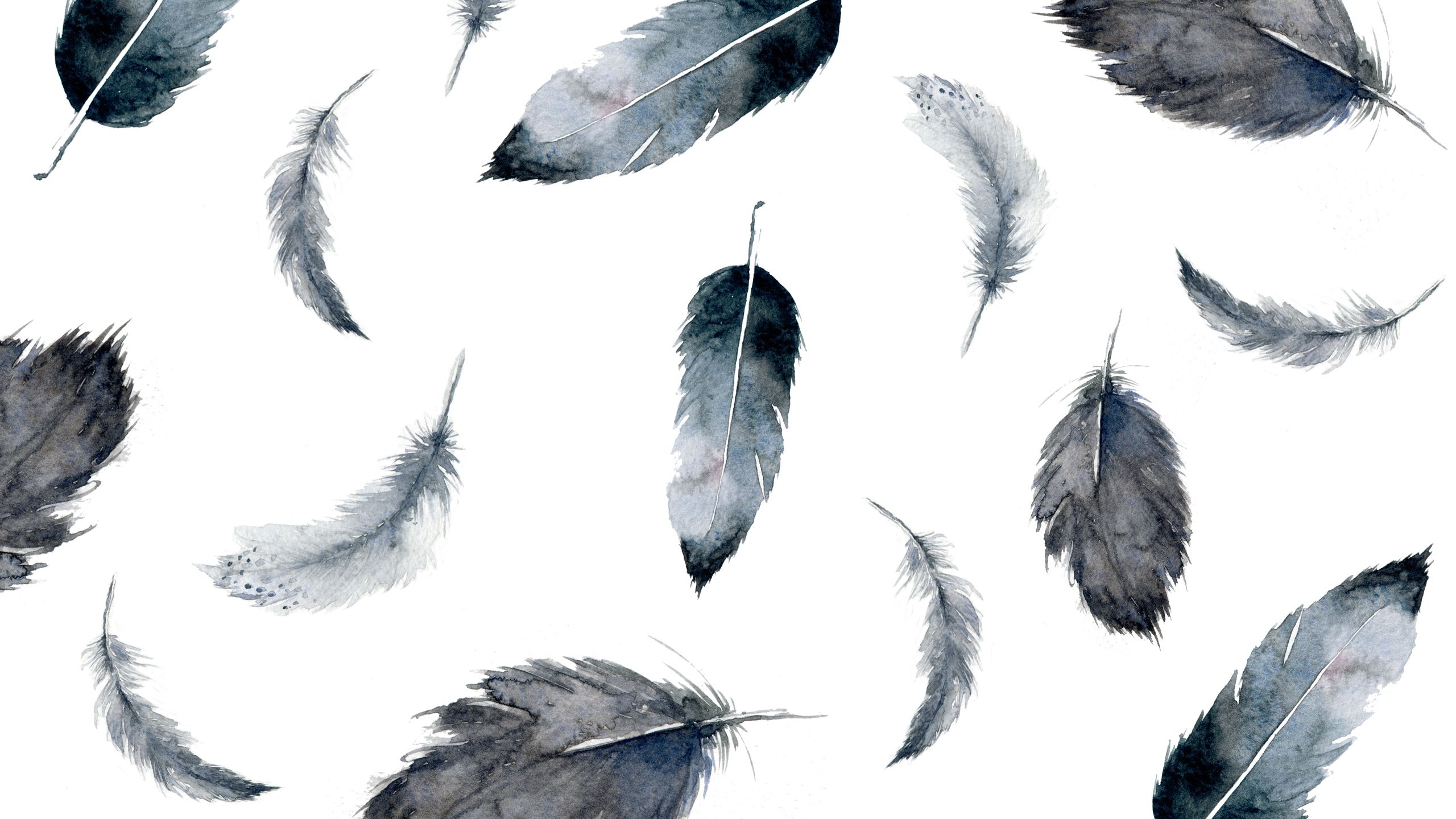 Feather Tumblr Wallpapers