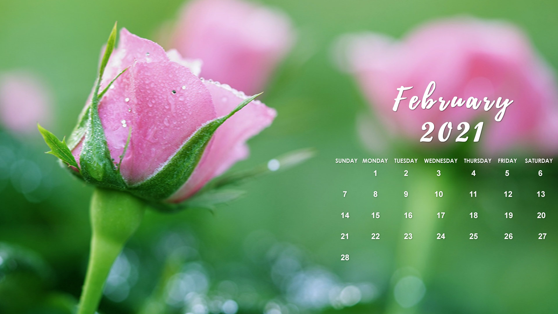 February 2021 Calendar Desktop Wallpapers