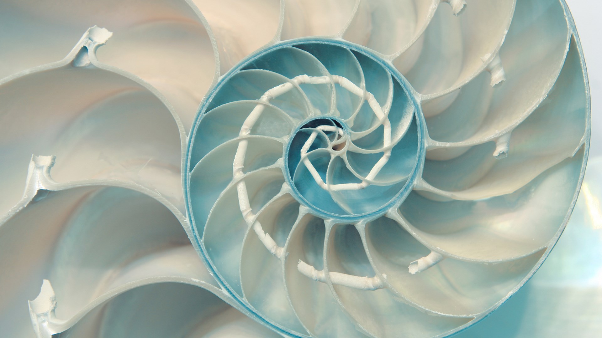 Fibonacci Sequence Wallpapers