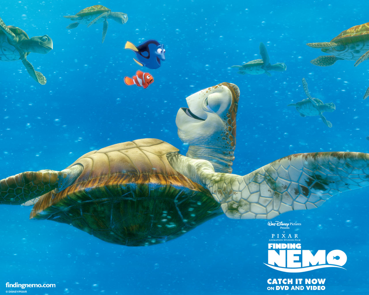 Finding Nemo Iphone Wallpapers