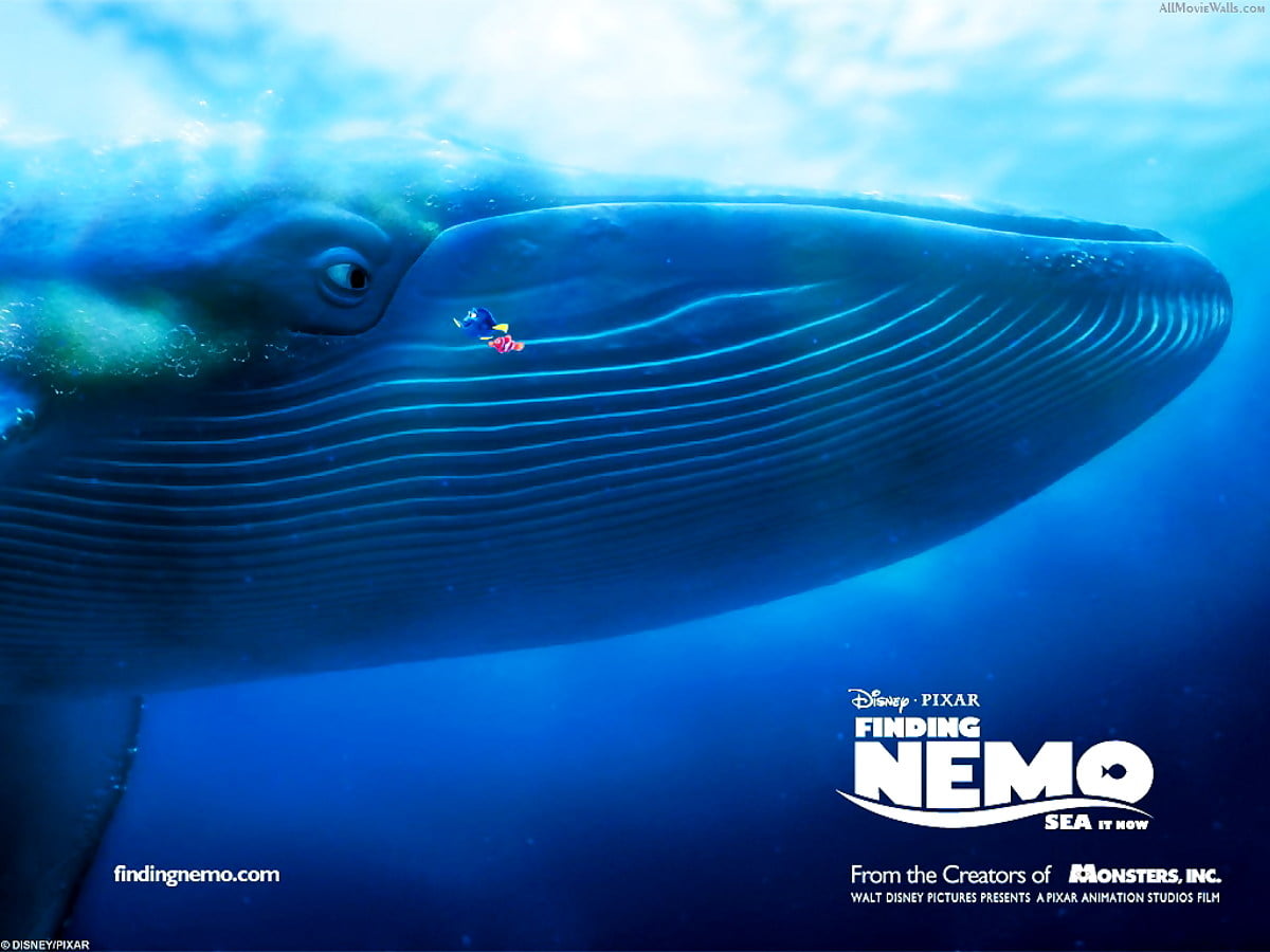 Finding Nemo Iphone Wallpapers