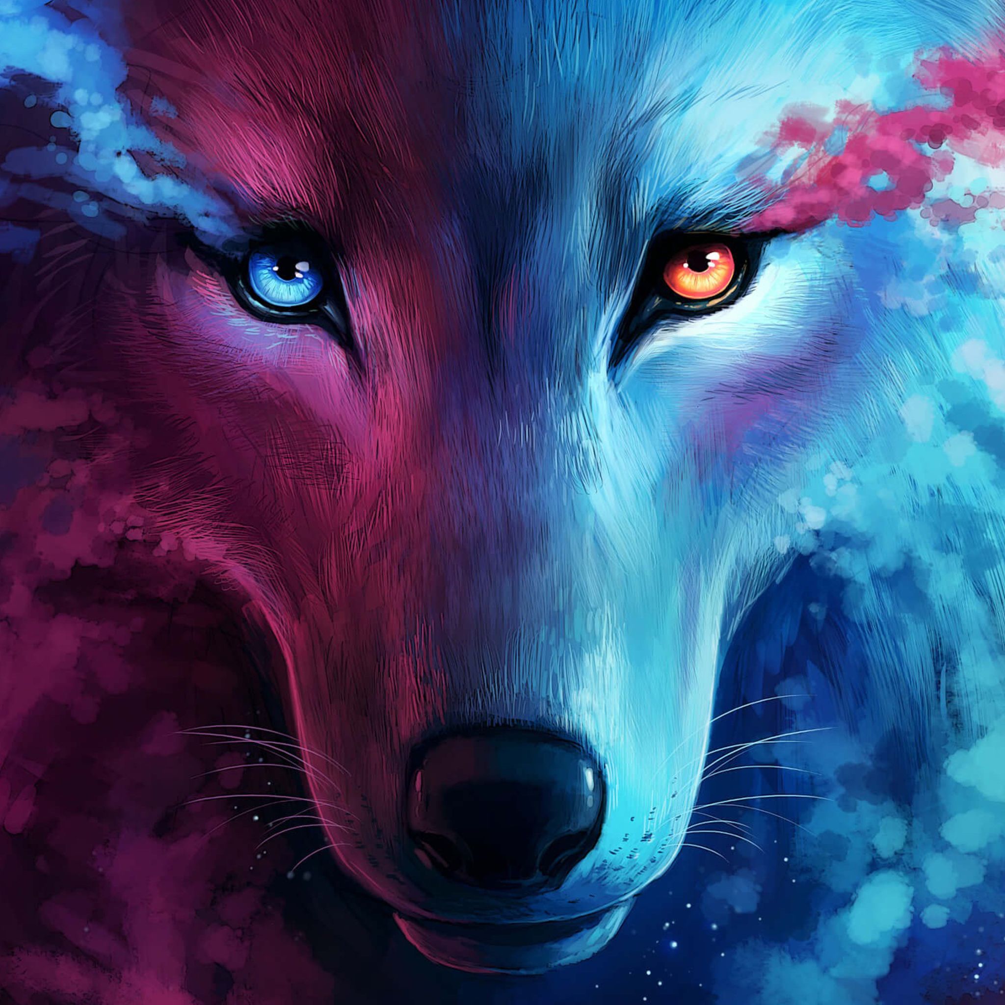 Fire And Ice Wolf Wallpapers