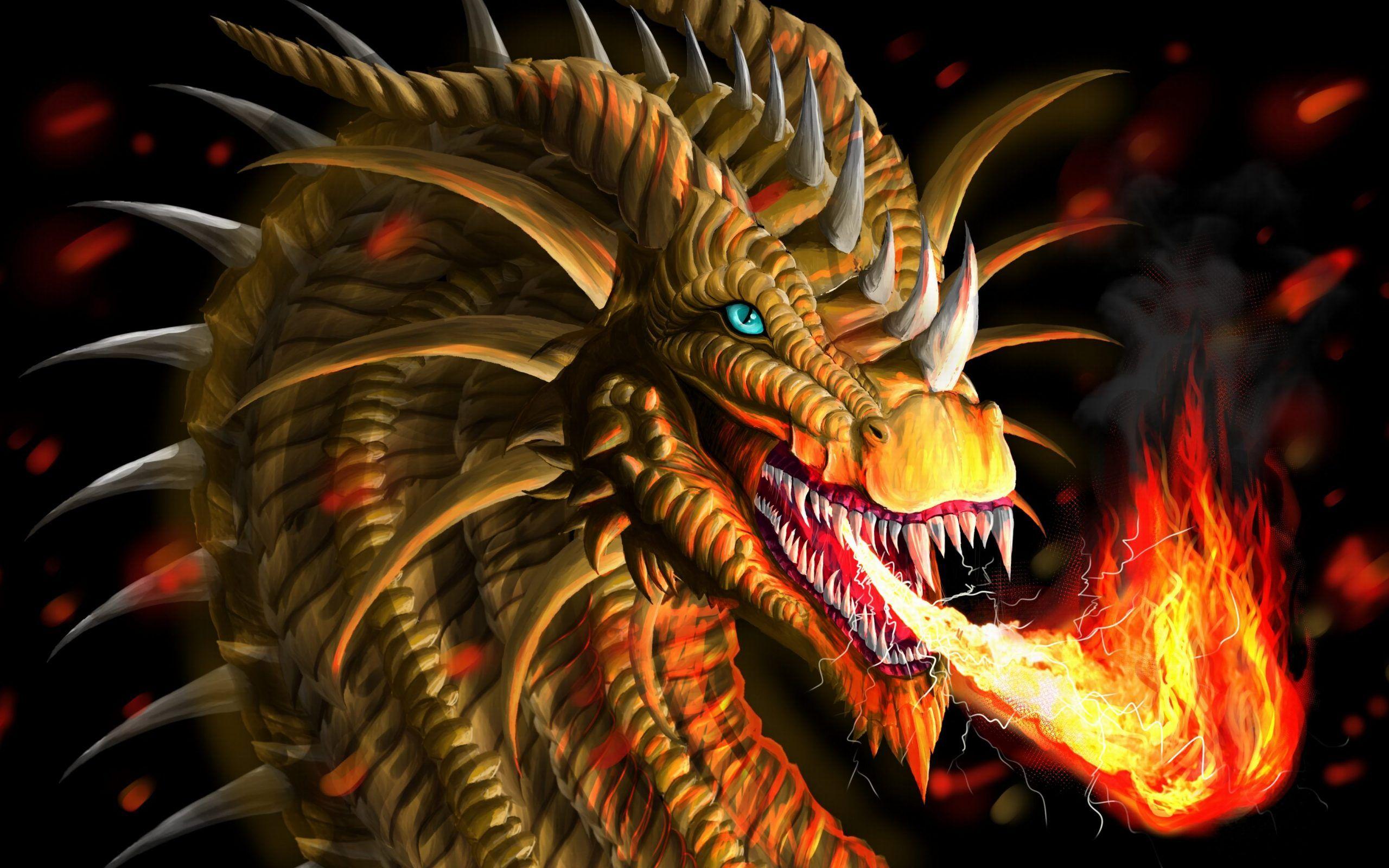 Fire Dragon Wallpapers