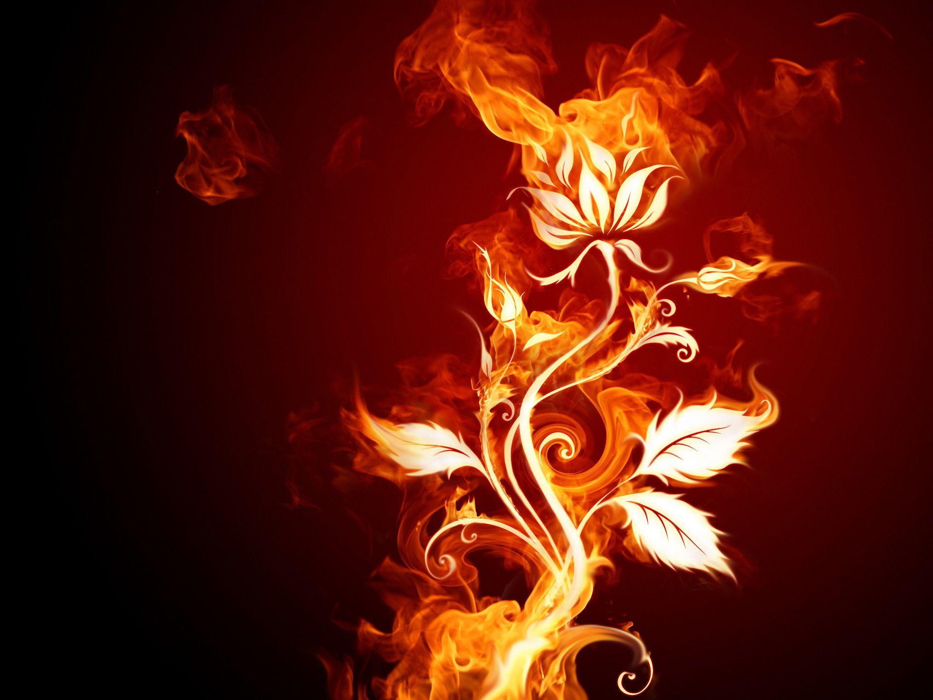 Fire Flower Wallpapers
