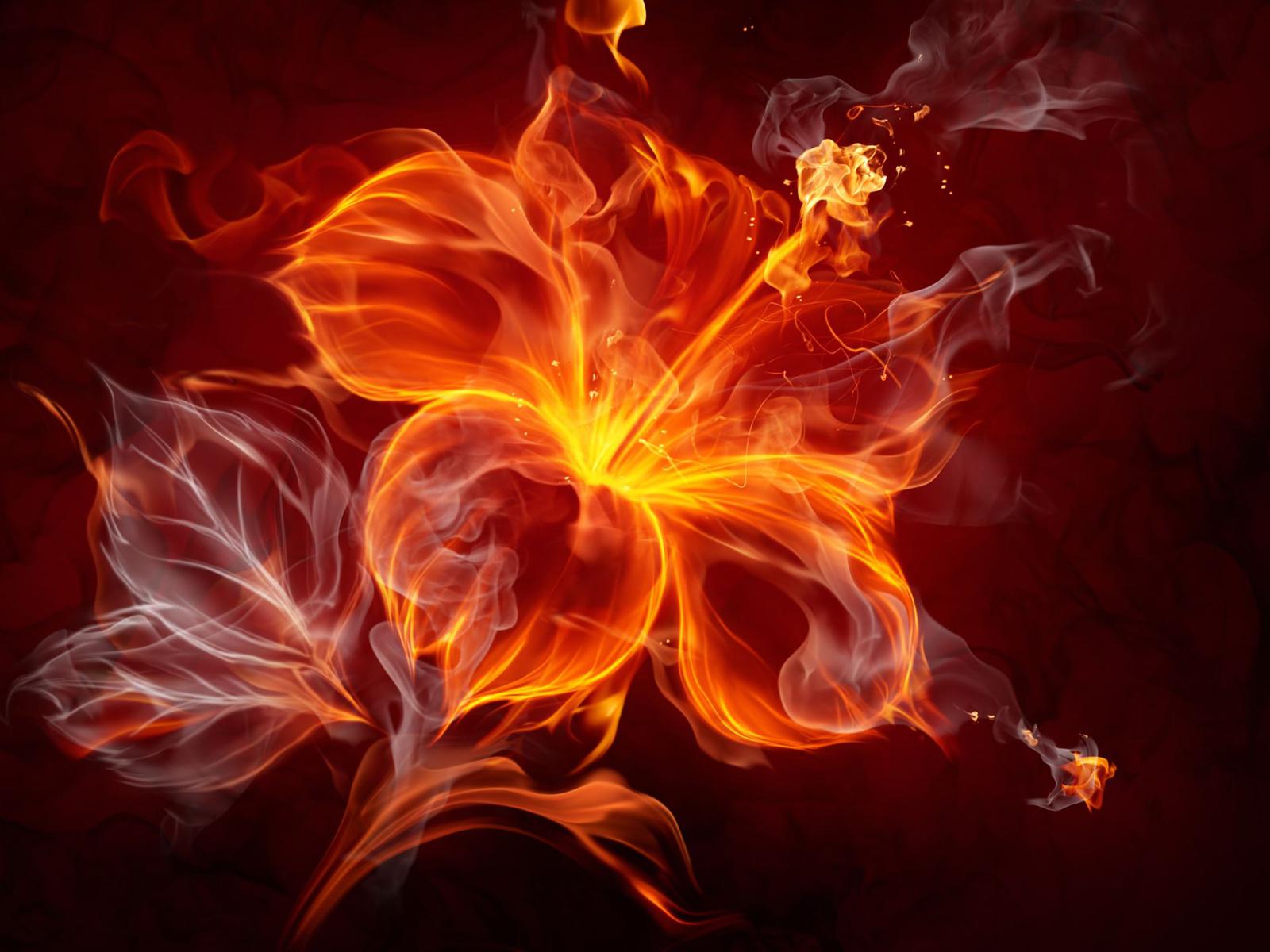 Fire Flower Wallpapers