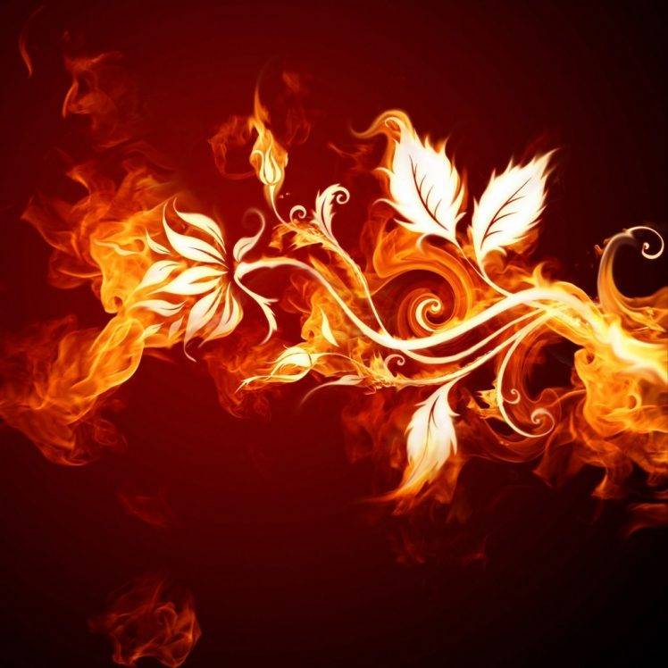 Fire Flower Wallpapers