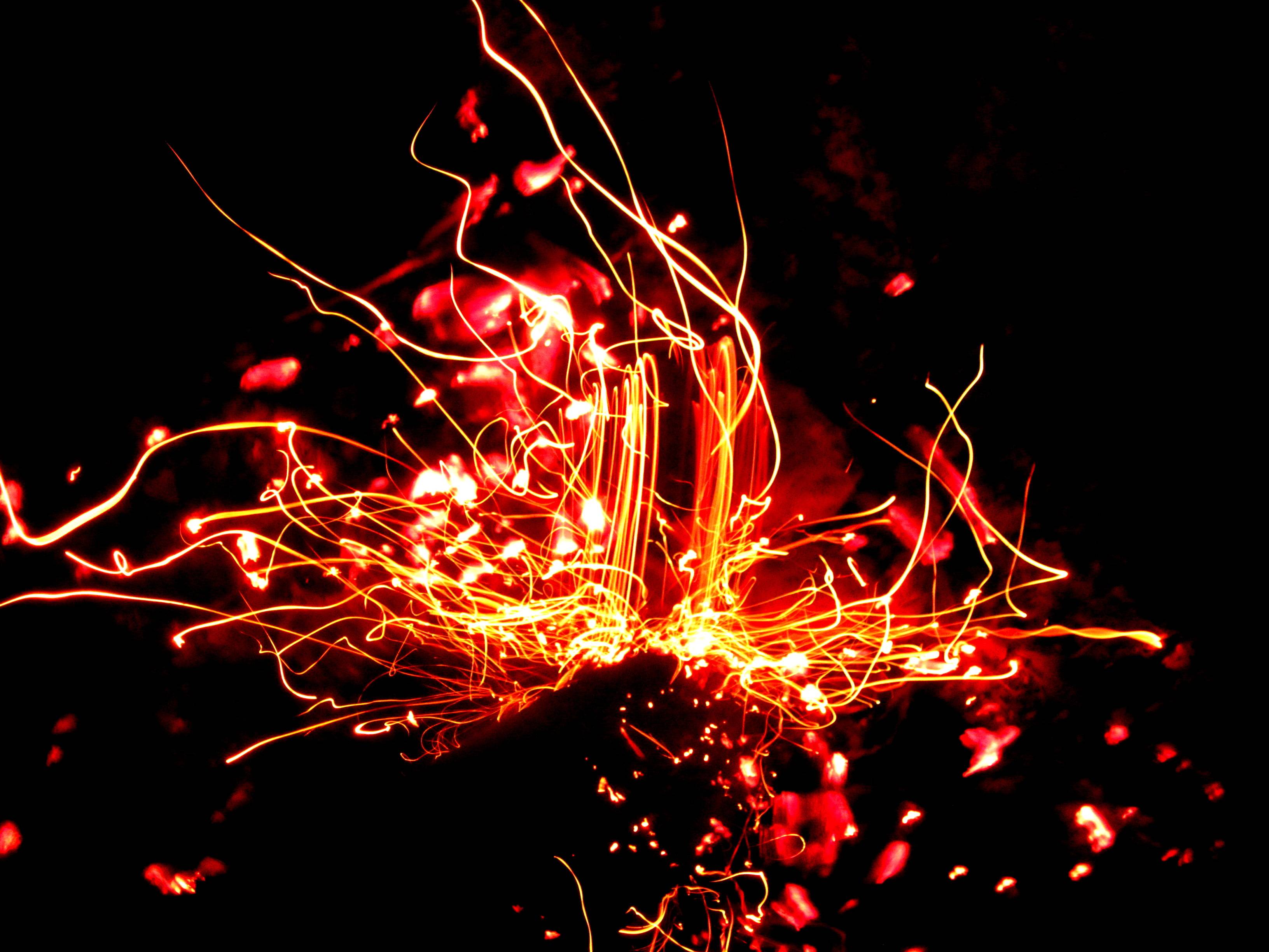 Fire Flower Wallpapers