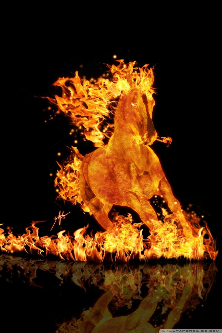 Fire Horse Wallpapers