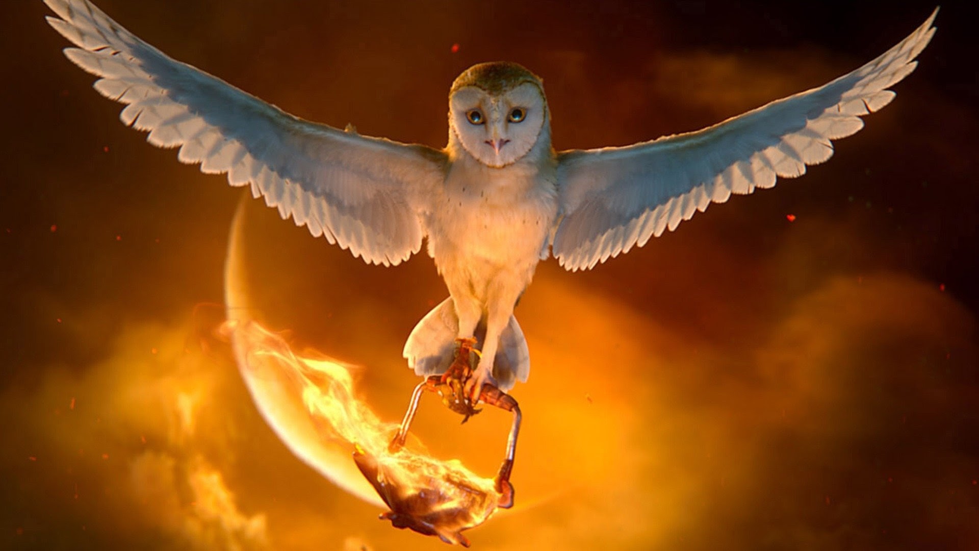 Fire Owl Wallpapers