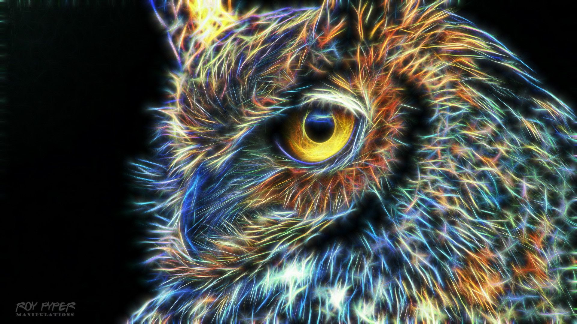 Fire Owl Wallpapers