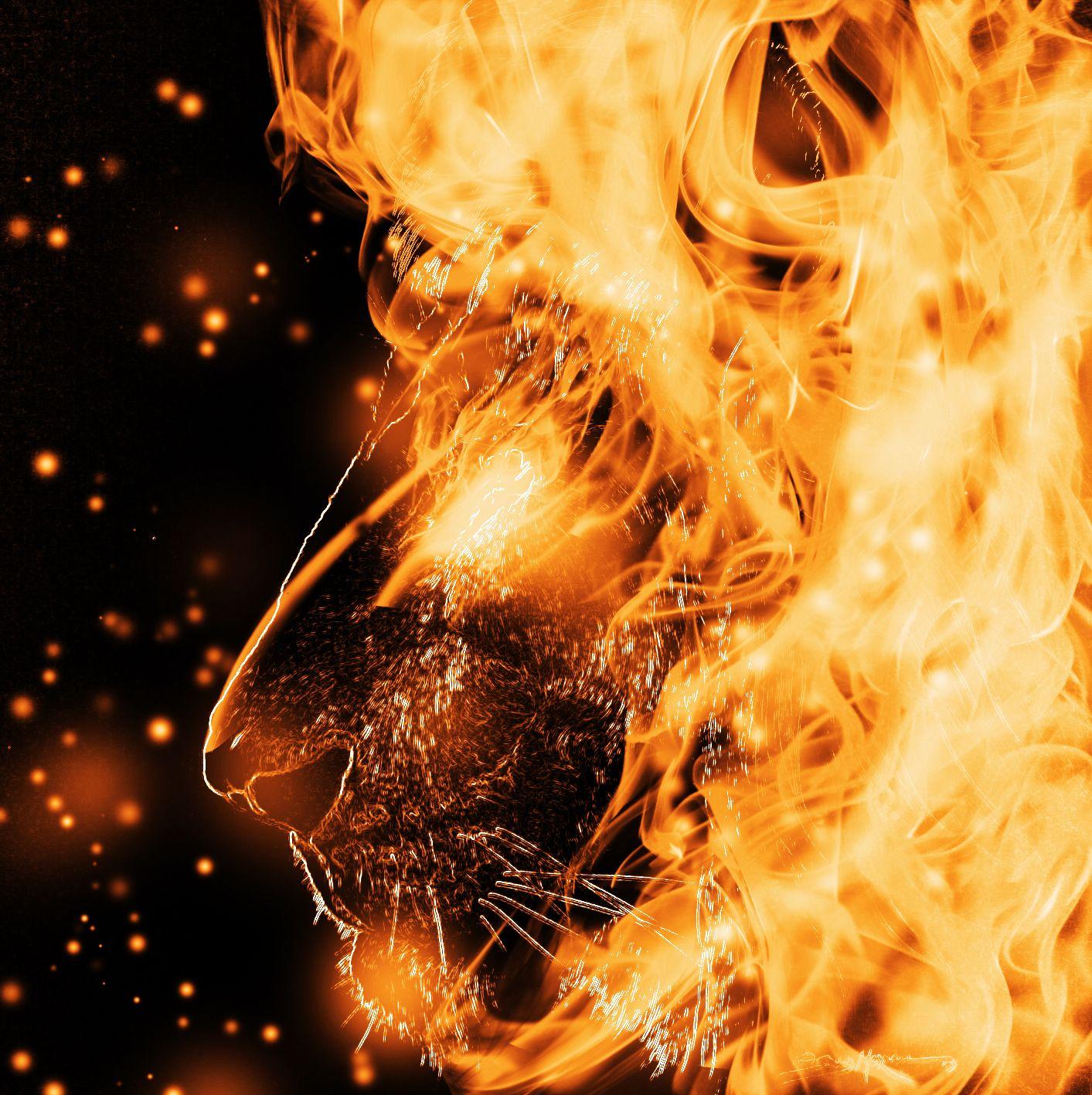 Fire 3D Wallpapers