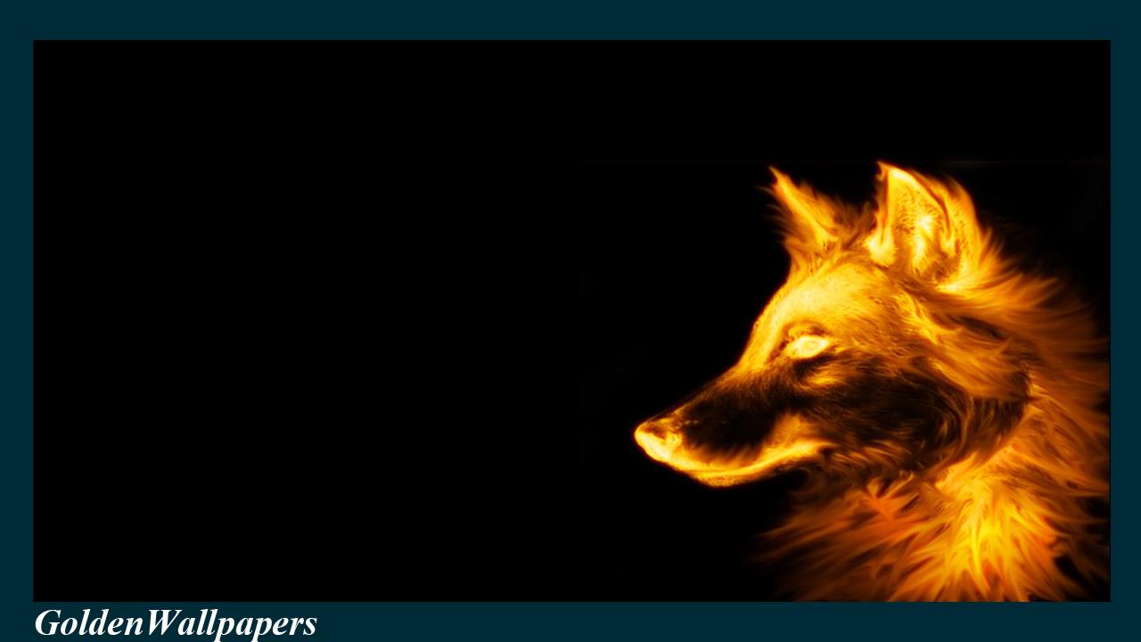 Fire Werewolf Wallpapers