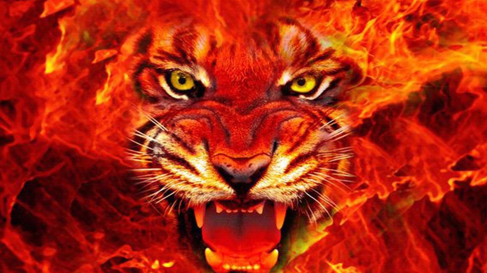 Flaming Tiger Wallpapers