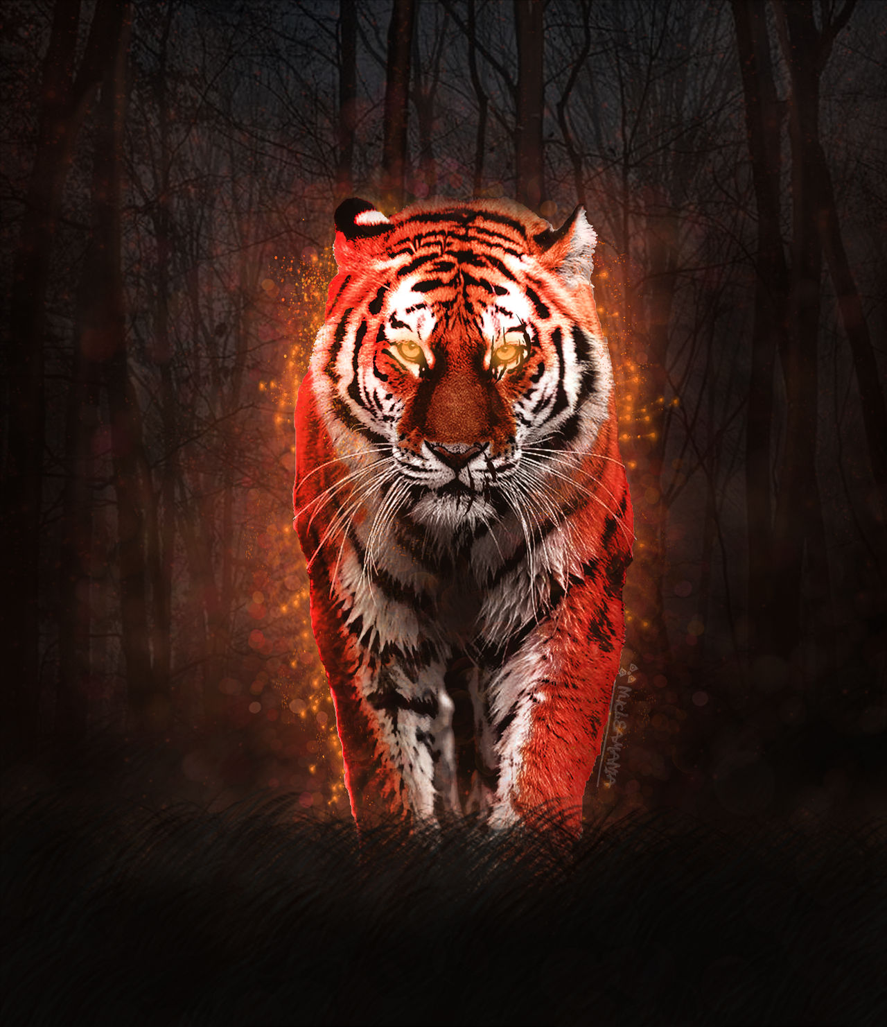 Flaming Tiger Wallpapers