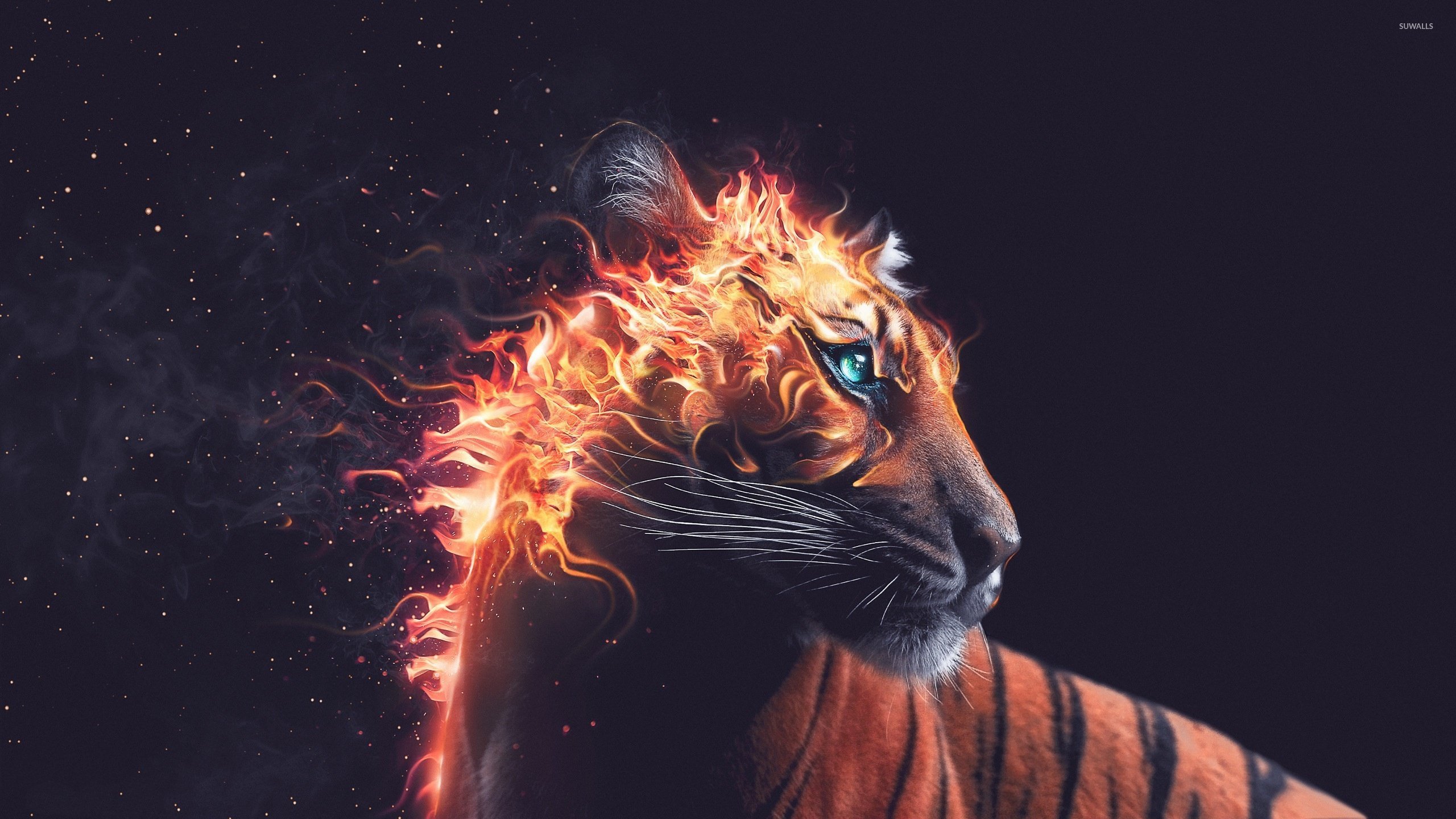 Flaming Tiger Wallpapers