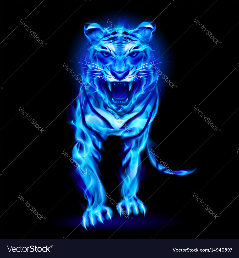 Flaming Tiger Wallpapers