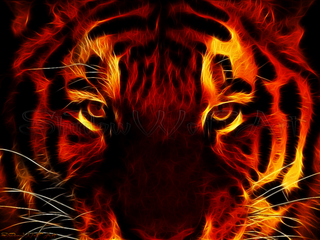 Flaming Tiger Wallpapers