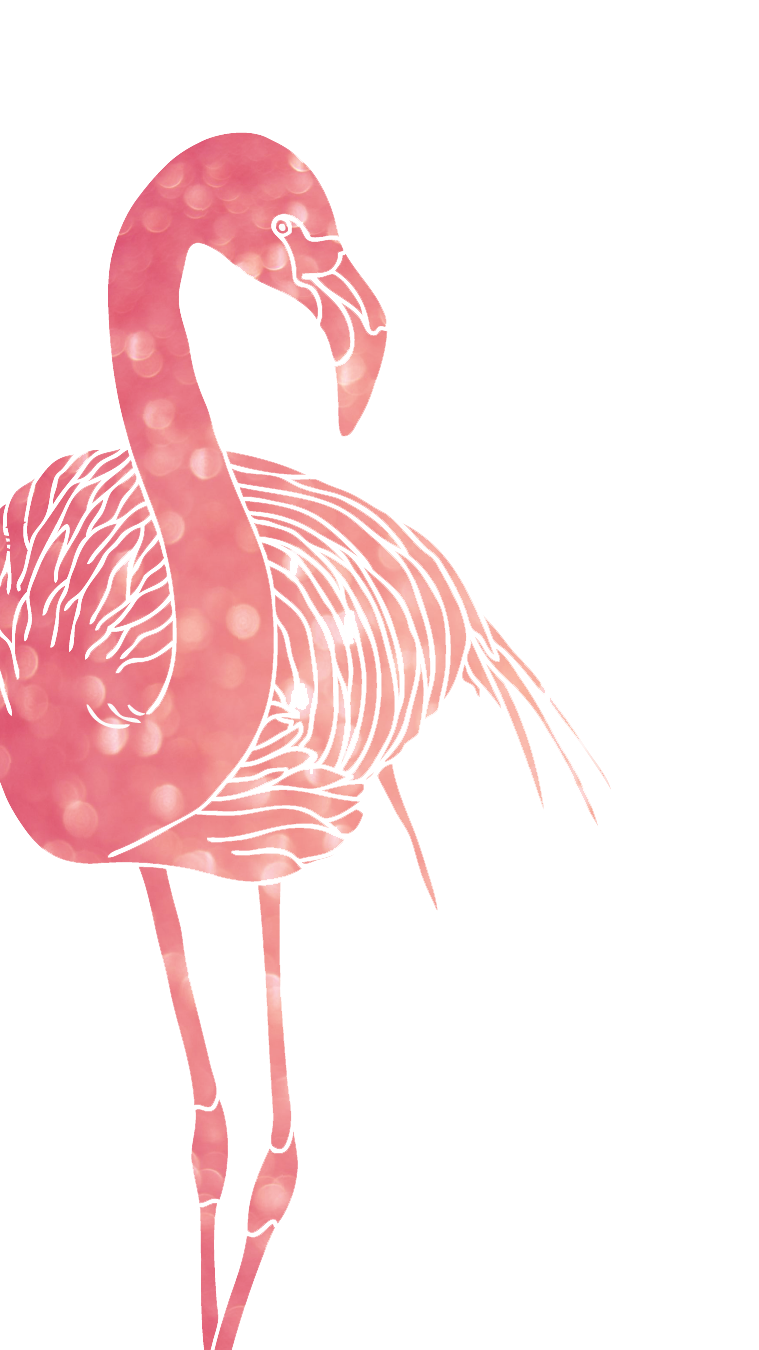 Flamingo Phone Wallpapers