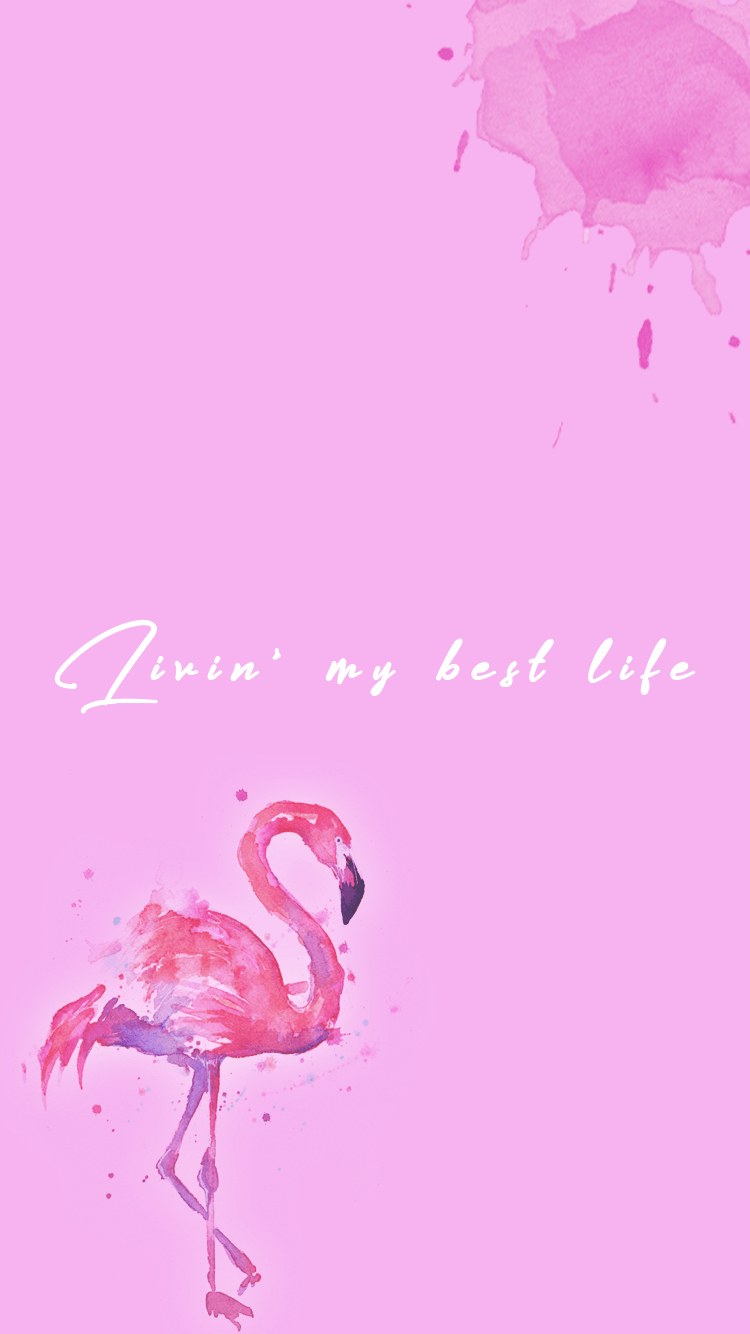 Flamingo Phone Wallpapers