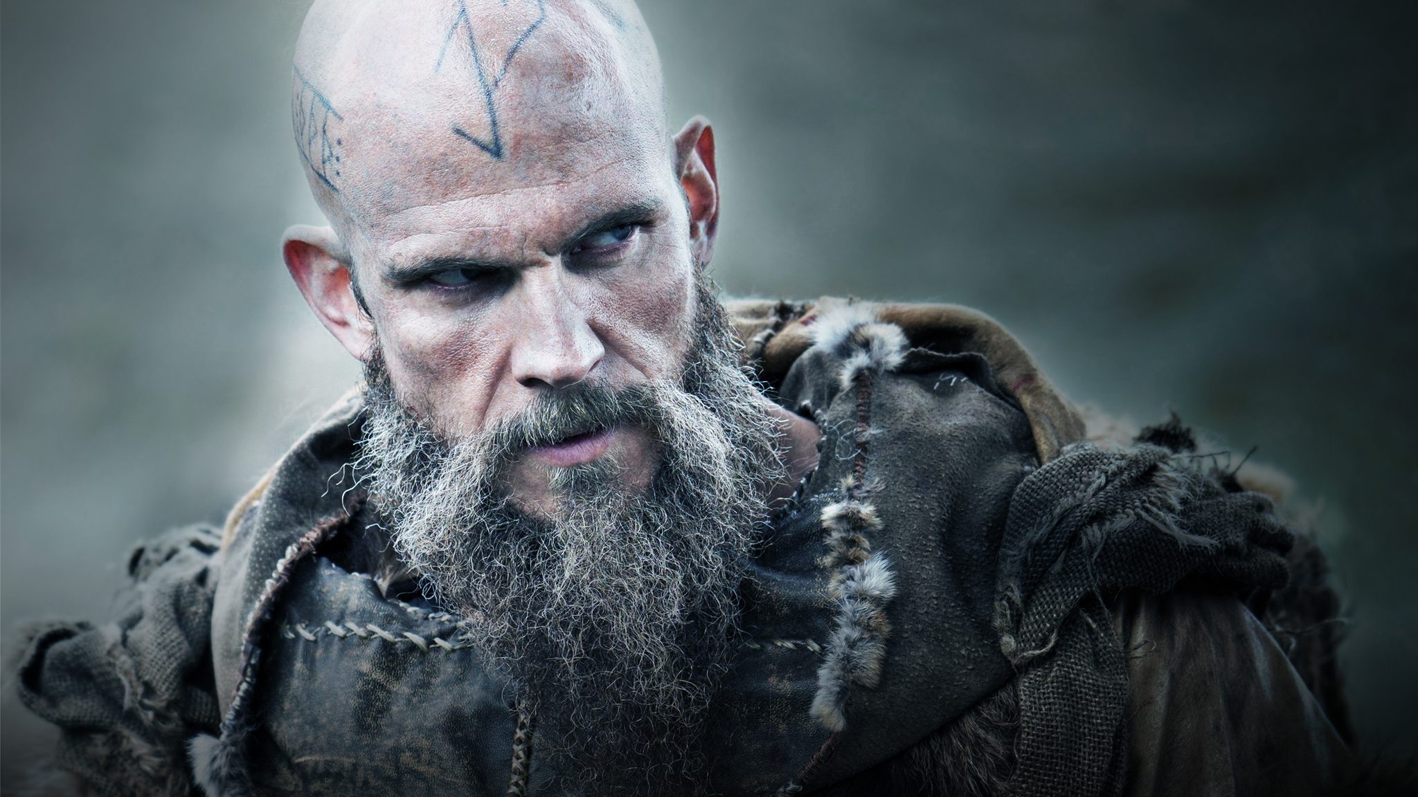 Floki Wallpapers