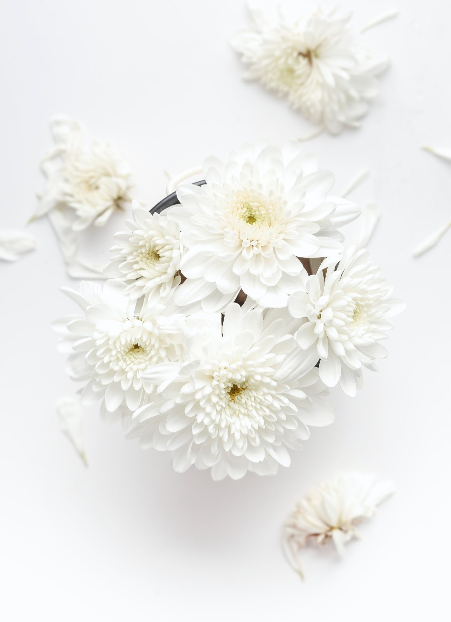 Floral Iphone Wallpapers