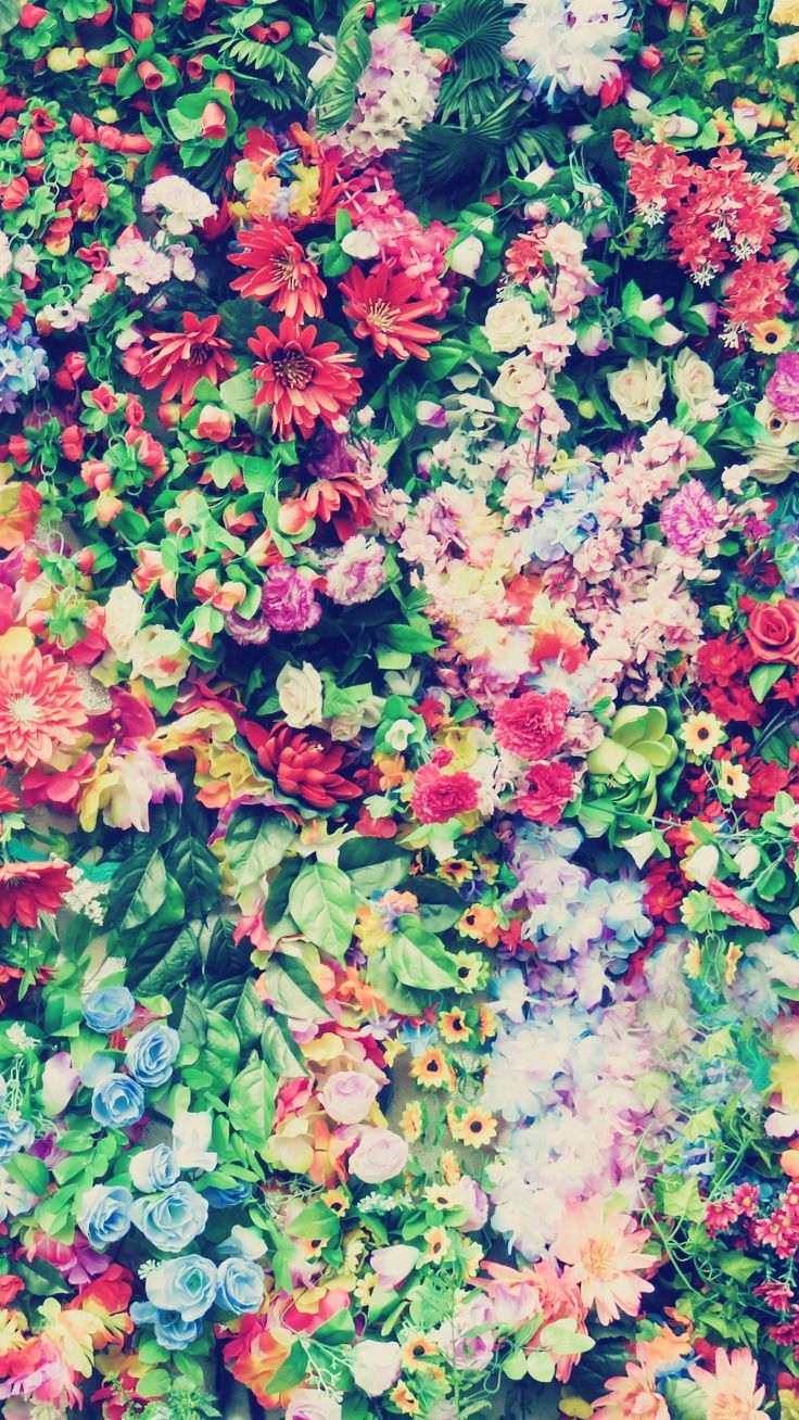 Floral Iphone Wallpapers