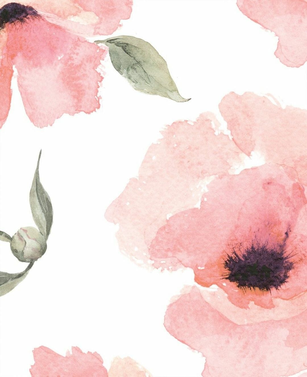 Floral Watercolor Iphone Wallpapers