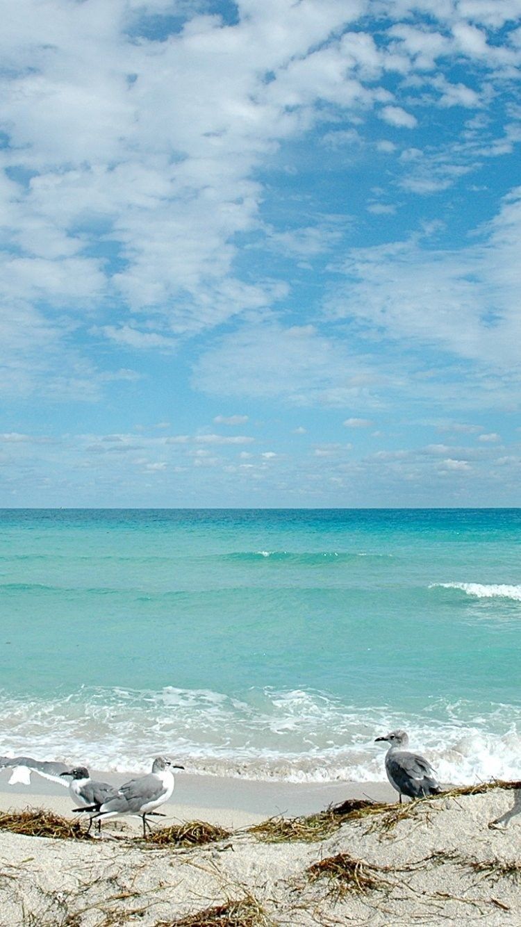 Florida Beaches Wallpapers