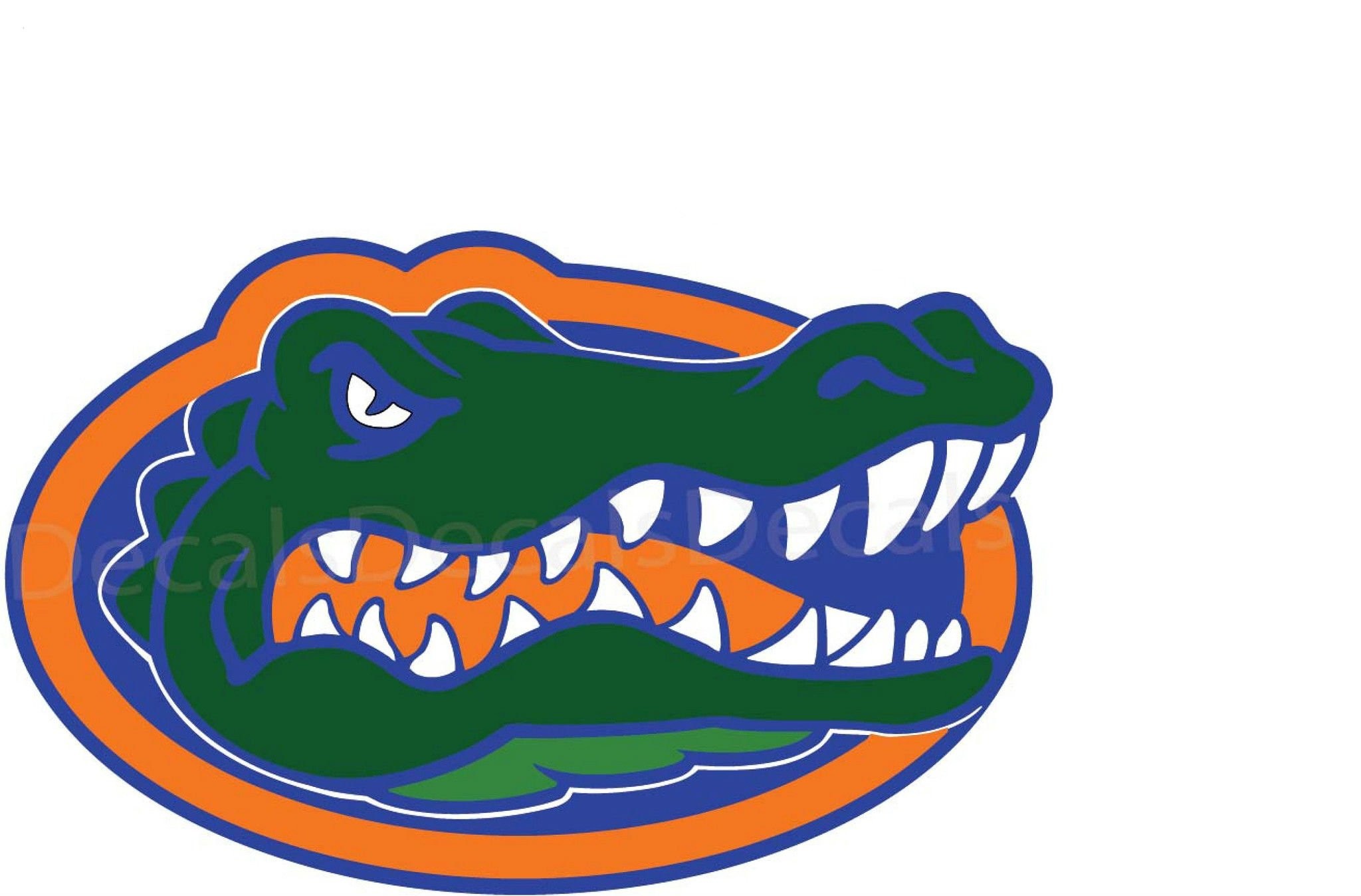 Florida Gator Border Wallpapers