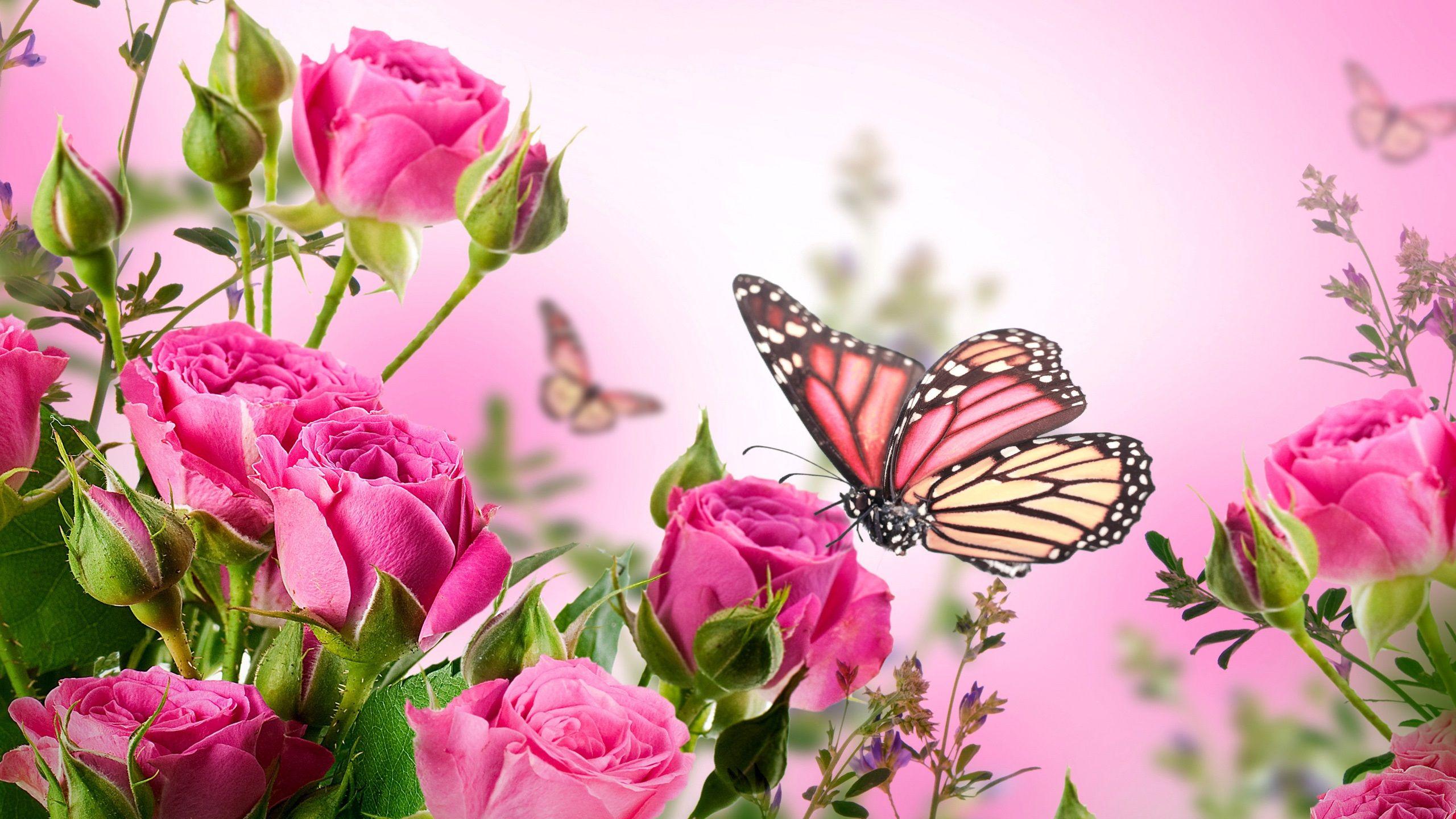 Flower And Butterfly Wallpapers