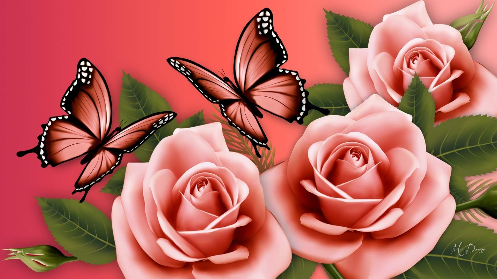 Flower And Butterfly Wallpapers