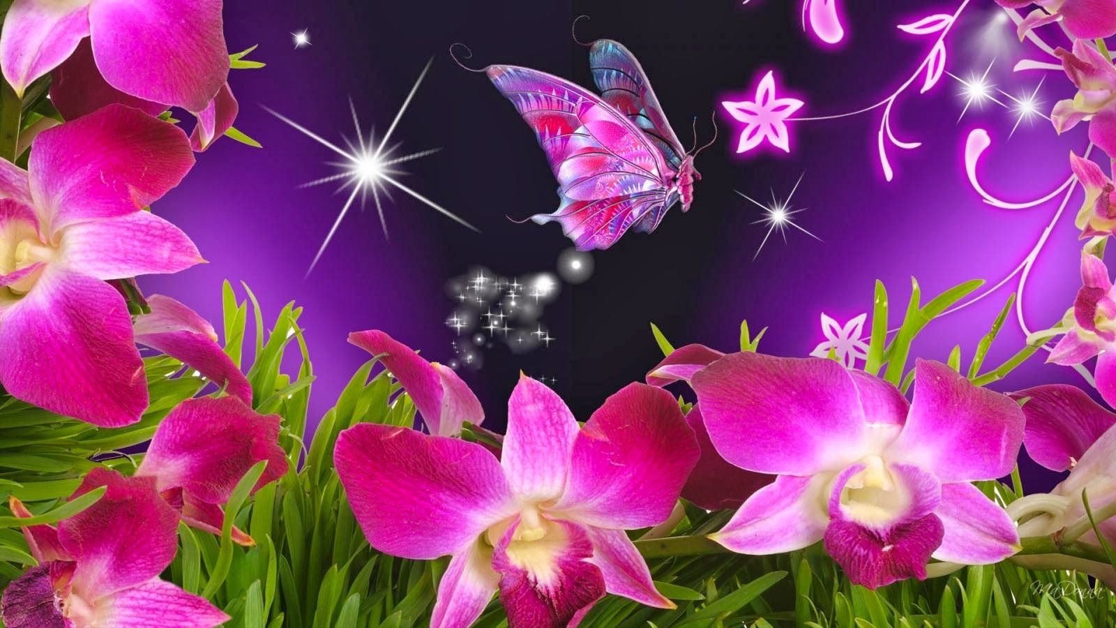 Flower And Butterfly Wallpapers