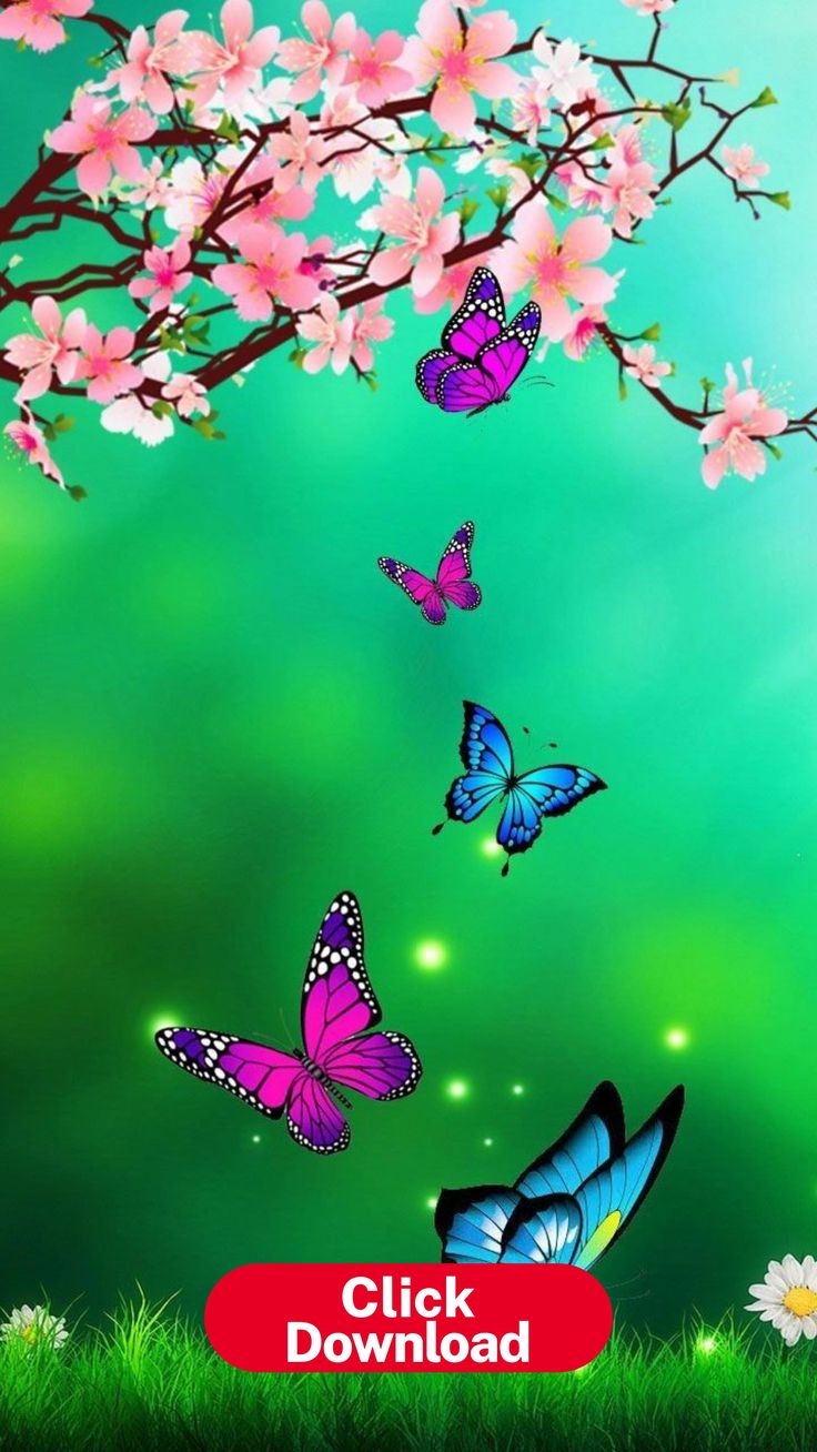 Flower And Butterfly Wallpapers