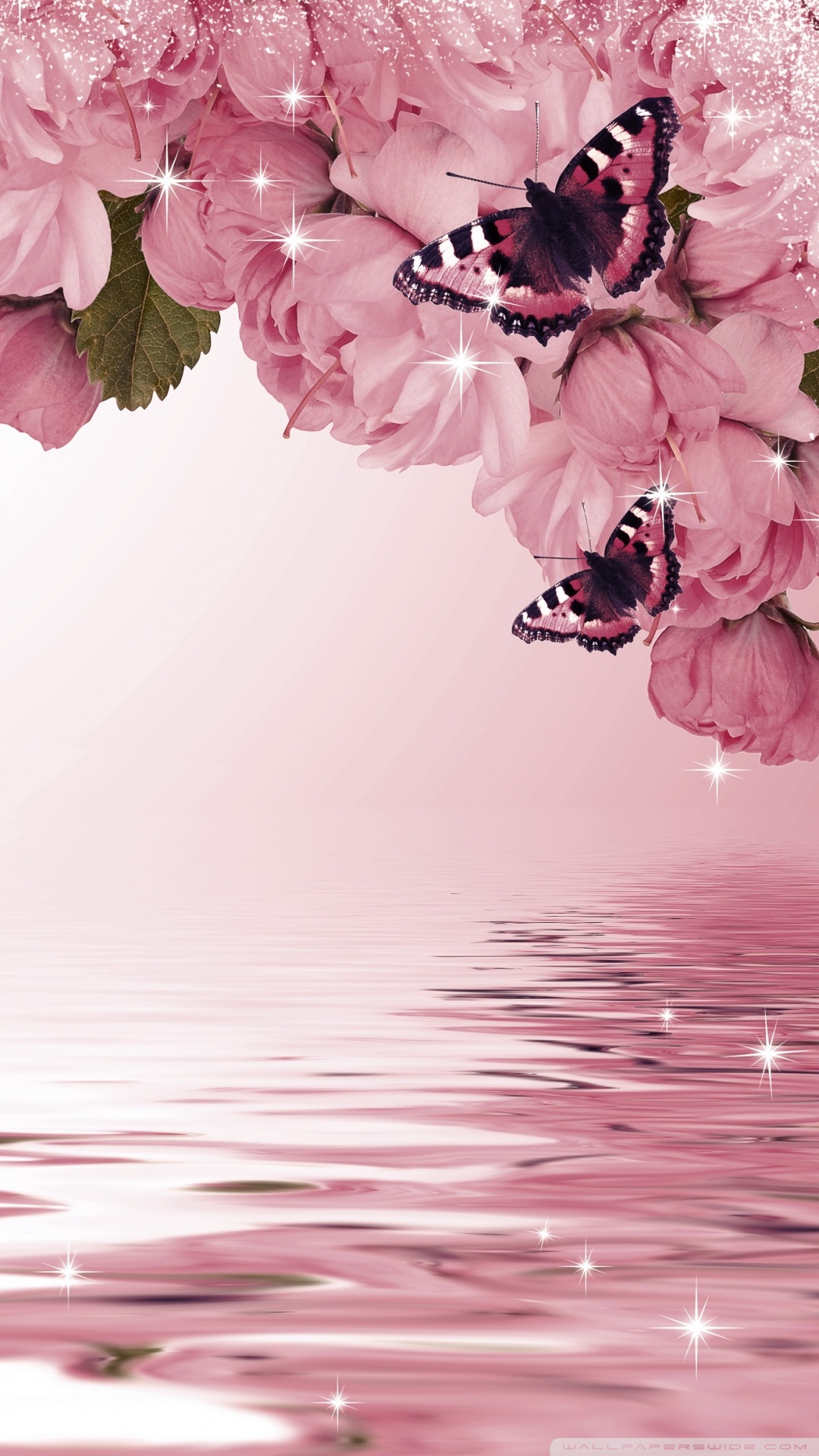 Flower And Butterfly Wallpapers