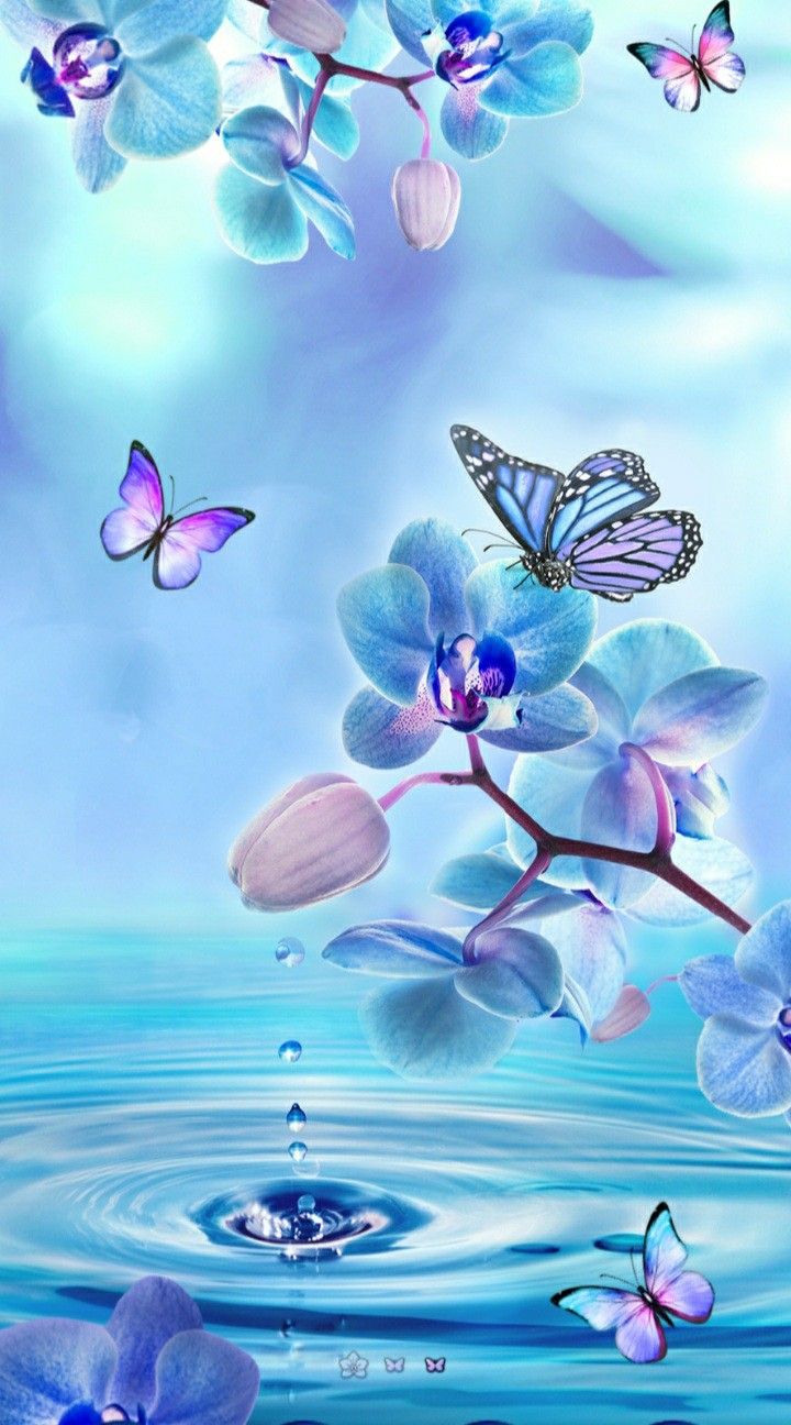 Flower And Butterfly Wallpapers