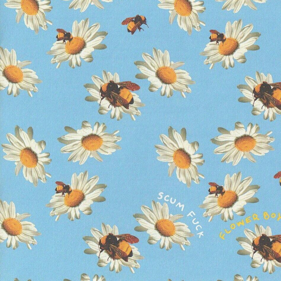 Flower Boy Wallpapers